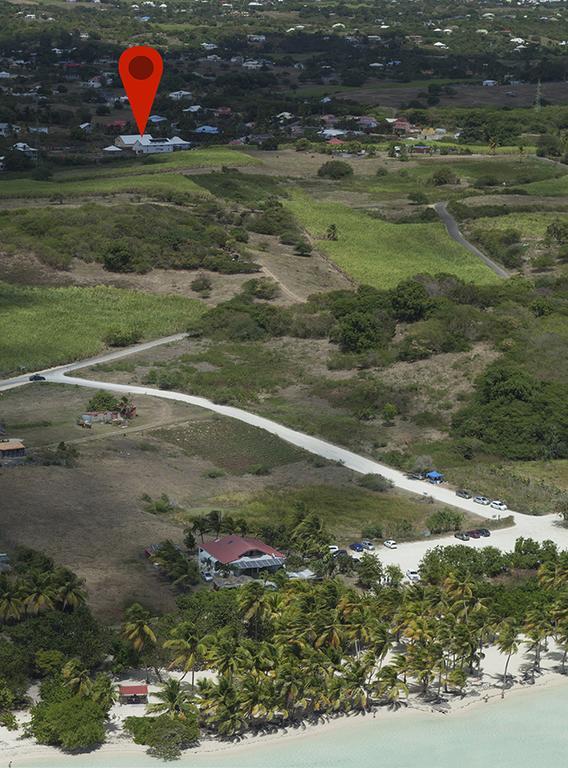 La Canne A Sucre Sainte-Anne  Bilik gambar
